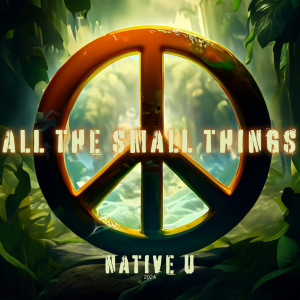 Native U的專輯All the Small Things