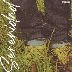 ดาวน์โหลดและฟังเพลง Serenidad พร้อมเนื้อเพลงจาก Diztruxion