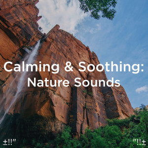Listen to Sleep By The Beach song with lyrics from Yoga