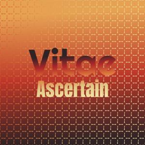 收聽Lenett Schin的Vitae Ascertain歌詞歌曲
