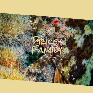 收聽Miha Dand的Pricey Family歌詞歌曲