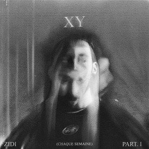 Album XY Pt. 1 (Chaque Semaine) from Zidi