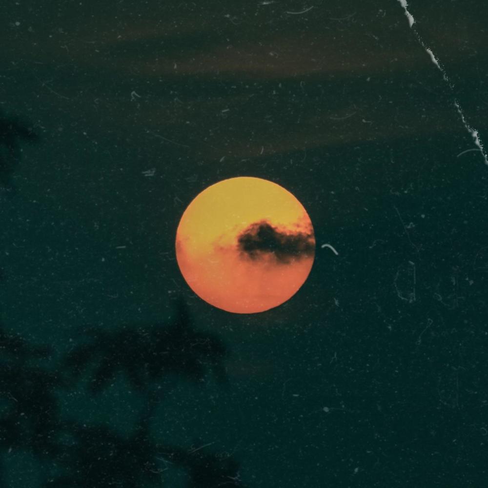Moonlight