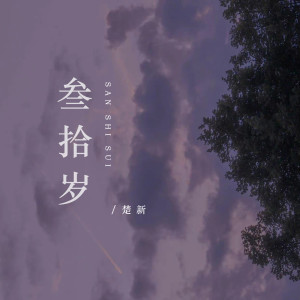 Album 叁拾岁 from 楚新