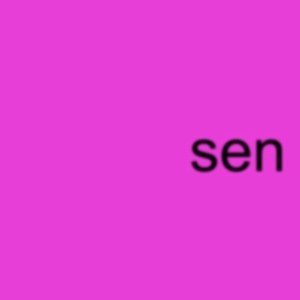 Album SEN from TENLI