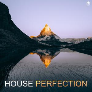 Album House Perfection from Various