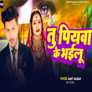 Listen to Tu Piywa Ke Bhailu song with lyrics from Amit Sagar