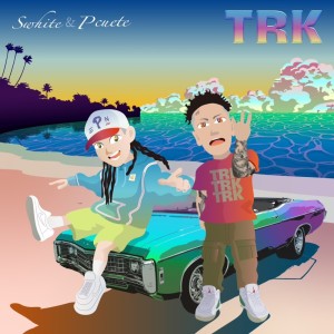 Listen to TRK (feat. P cuete) song with lyrics from SWhite