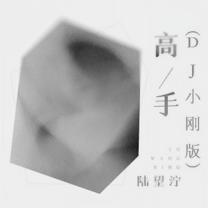 Album 高手  (DJ小刚版) from 陆望泞
