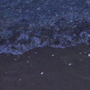 MUXUANGEGE的專輯營造環境