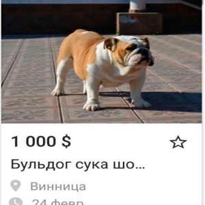 Album Давай взрослей (Explicit) from MERCURYLAYER