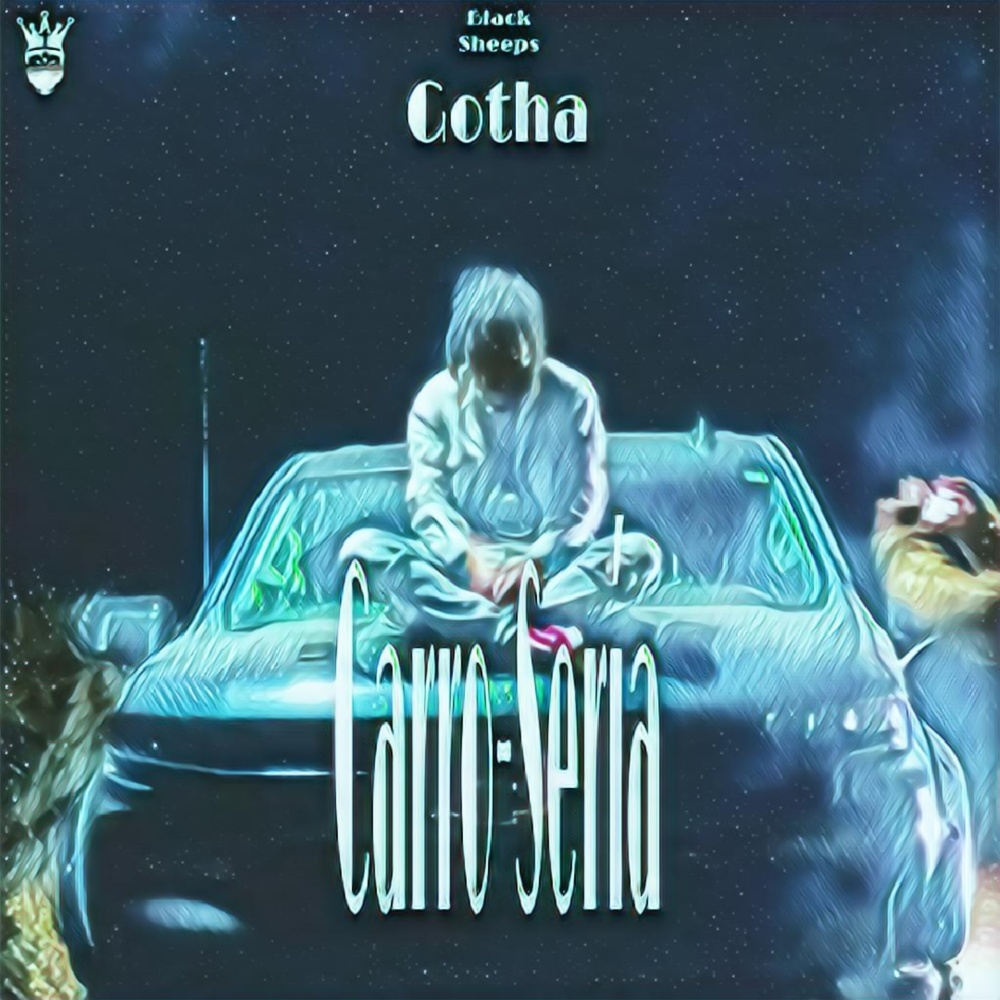 Carro-Sería