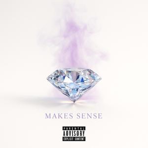 2TiRED的專輯Makes Sense (feat. Outbreak & Kid Kay) [Explicit]