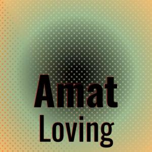 Various Artists的专辑Amat Loving