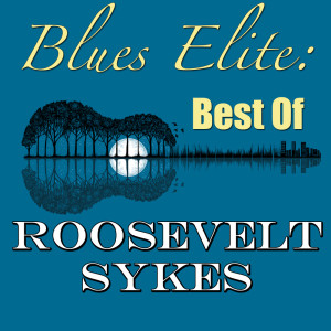 ดาวน์โหลดและฟังเพลง Set The Meat Outdoors พร้อมเนื้อเพลงจาก Roosevelt Sykes