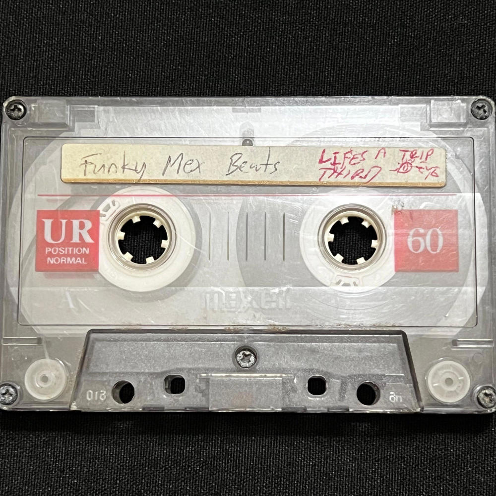 Life's a trip Instrumental.