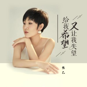 Album 给我希望又让我失望 from 张乙