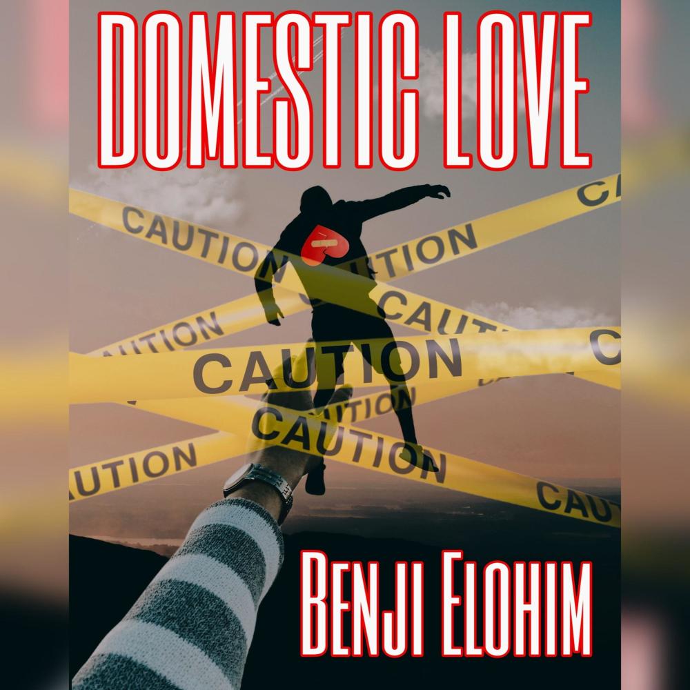 Domestic Love (Explicit)