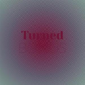 Listen to Turned Bonus song with lyrics from Robet Ving