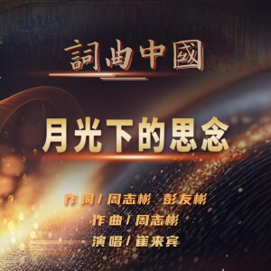 Album 月光下的思念 from 崔来宾