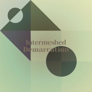 Various Artists的專輯Intermeshed Demarcation