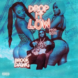 Dengarkan lagu Drop It Low (Explicit) nyanyian Brook Dawg dengan lirik