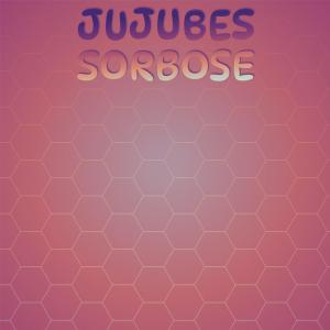 อัลบัม Jujubes Sorbose ศิลปิน Various