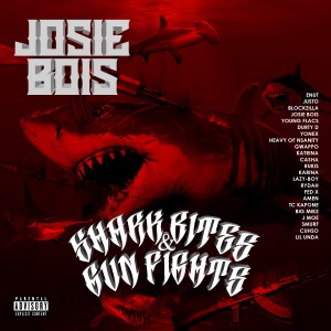 Listen to Do My Thang (Explicit) song with lyrics from Josie Bois