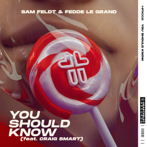 收聽Sam Feldt的You Should Know (feat. Craig Smart)歌詞歌曲