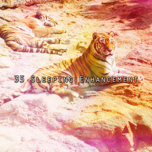 อัลบัม 35 Sleeping Enhancement ศิลปิน Relaxing Music For Sleeping