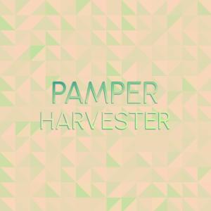 อัลบัม Pamper Harvester ศิลปิน Various