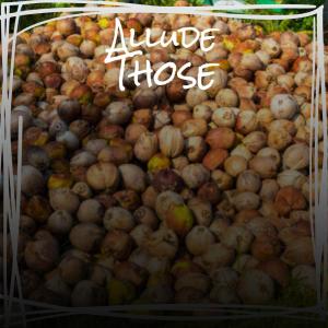 Album Allude Those from Various