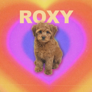 Johnny Stimson的专辑Roxy