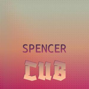 Various的专辑Spencer Cub