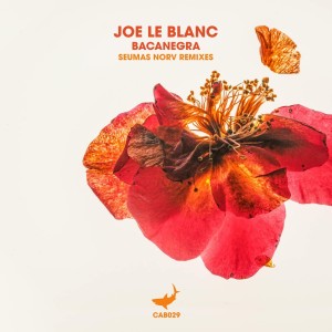 Joe Le Blanc的專輯Bacanegra (Seumas Norv Remixes)