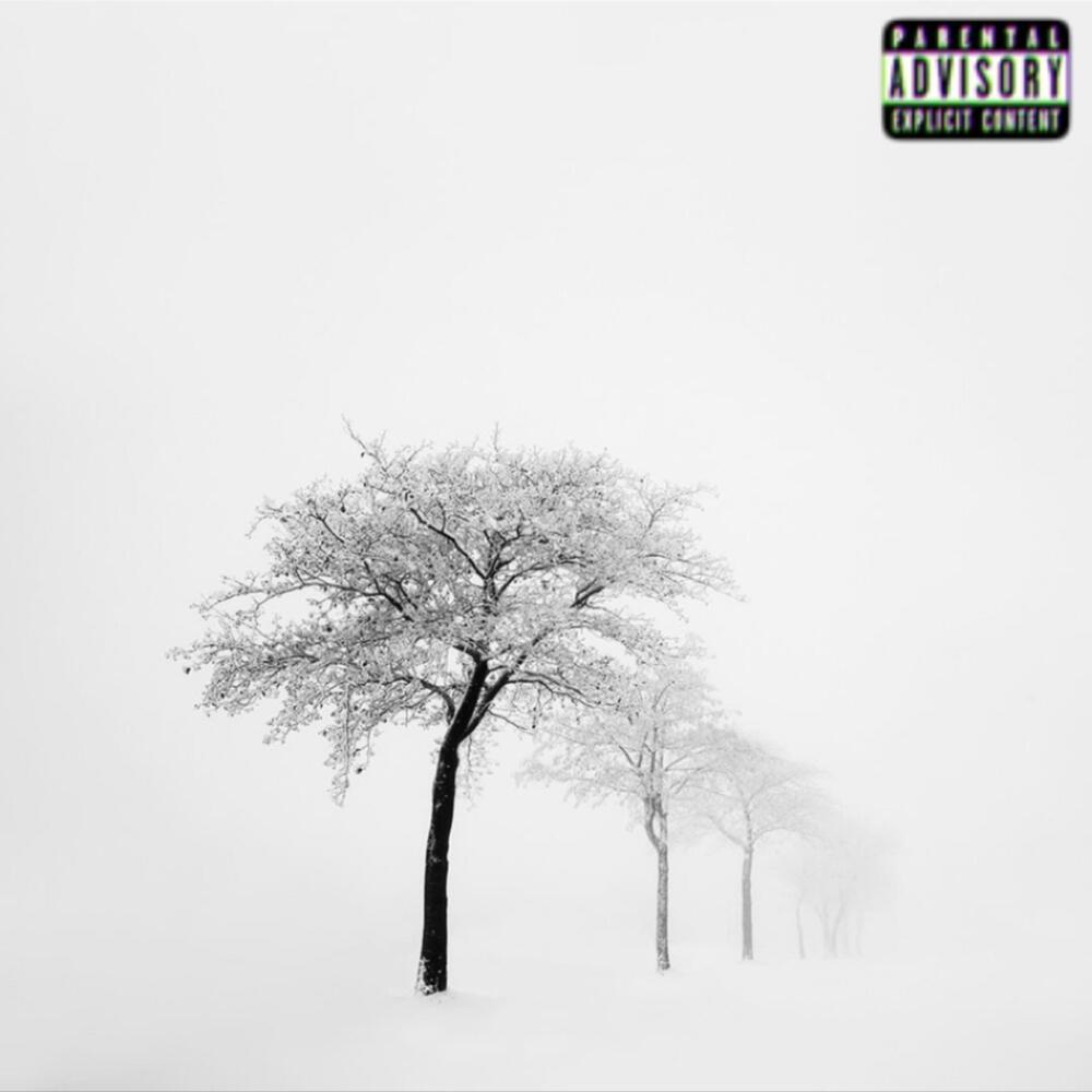 I Never Needed (Explicit)