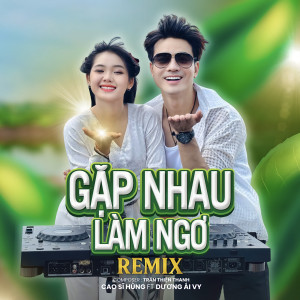 Cao Sỹ Hùng的專輯Gặp Nhau Làm Ngơ Remix