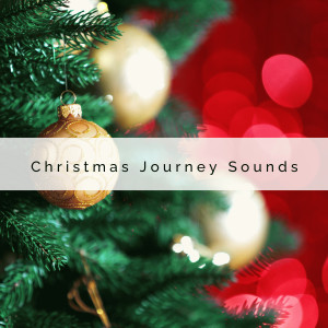 Christmas Favorites的專輯1 0 1 Christmas Journey Sounds