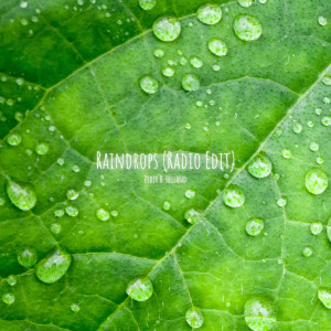 收听Peder B. Helland的Raindrops (Radio Edit)歌词歌曲