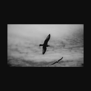 Listen to Wings (feat.U Sung Eun, Ryno) song with lyrics from Louie (Geeks)