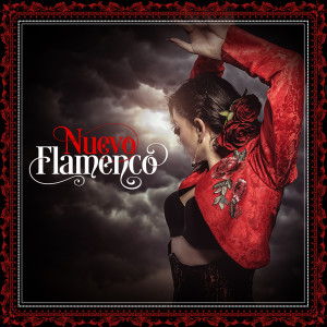 Various Artists的專輯Nuevo Flamenco