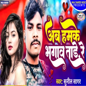 Listen to Ab Hamke Bhagawa Tar Re song with lyrics from Sunil Sagar