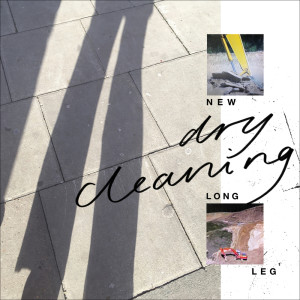 Dry Cleaning的專輯New Long Leg