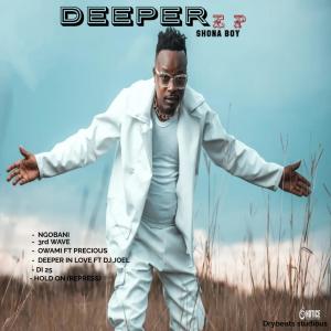 收聽Shona Boy的DEEP SCARS歌詞歌曲