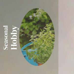 Listen to Prissy song with lyrics from Lelio Ebaa
