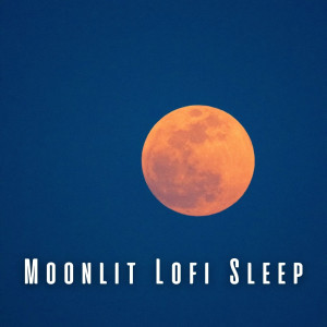 Moonlit Lofi Sleep: Chill Music for Serene Slumber