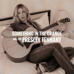 Listen to Something In The Orange song with lyrics from Presley Tennant