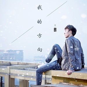 Listen to 我的方向2016 song with lyrics from 王玉玺