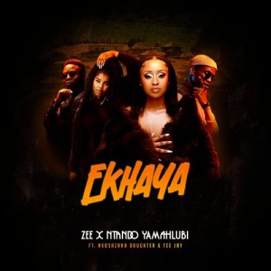 Album Ekhaya from Tee Jay