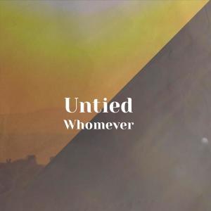 Various的专辑Untied Whomever